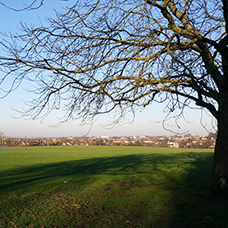 Image of Golders Green