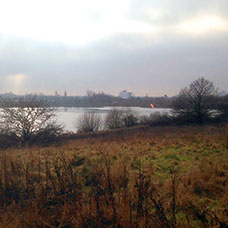 Image of Welsh Harp