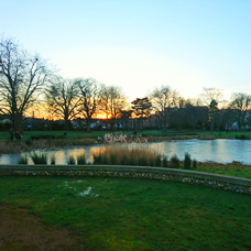 Image of Broad Green