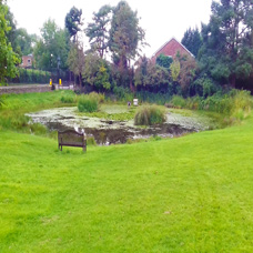 Image of Old Coulsdon