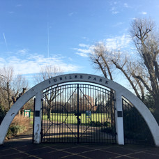 Image of Jubilee