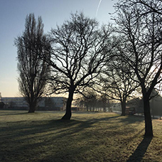 Image of Pollards Hill