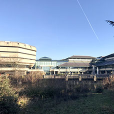 Image of Kew